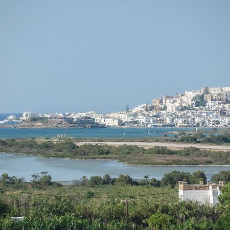 Naxian Spirit Suites & Apartments Agia Anna  Luaran gambar