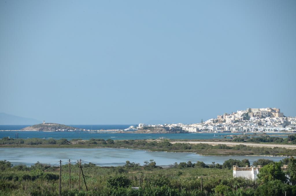 Naxian Spirit Suites & Apartments Agia Anna  Luaran gambar