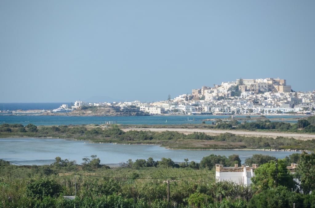 Naxian Spirit Suites & Apartments Agia Anna  Luaran gambar